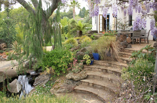 Garden Ideas, Landscaping ideas, pathway, walkway, side yard, urn, Mediterranean Garden, Goodman Landscape design, flagstones path, secret path, flagstone steps, stepping stones, wisteria, succulent, bamboo